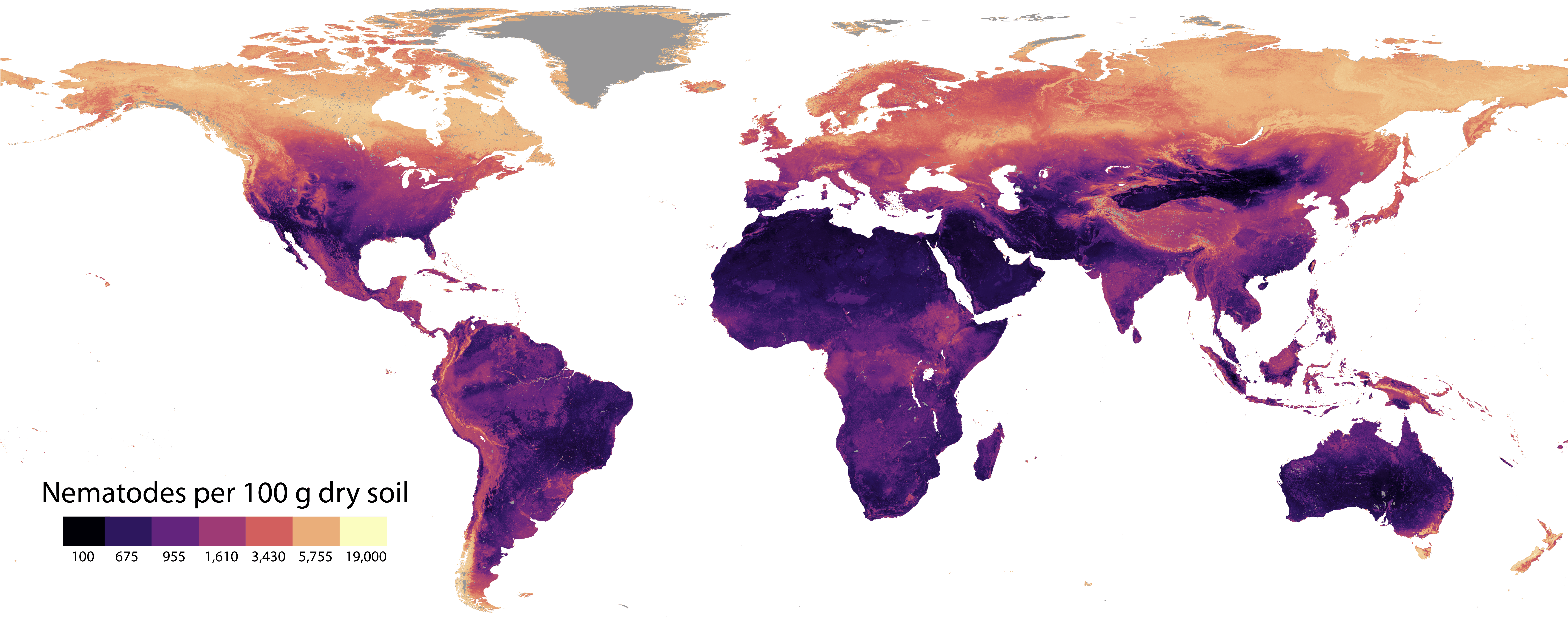 Global map of soil nematode density at the 30 arcsec (approximately 1 km2) pixel scale.