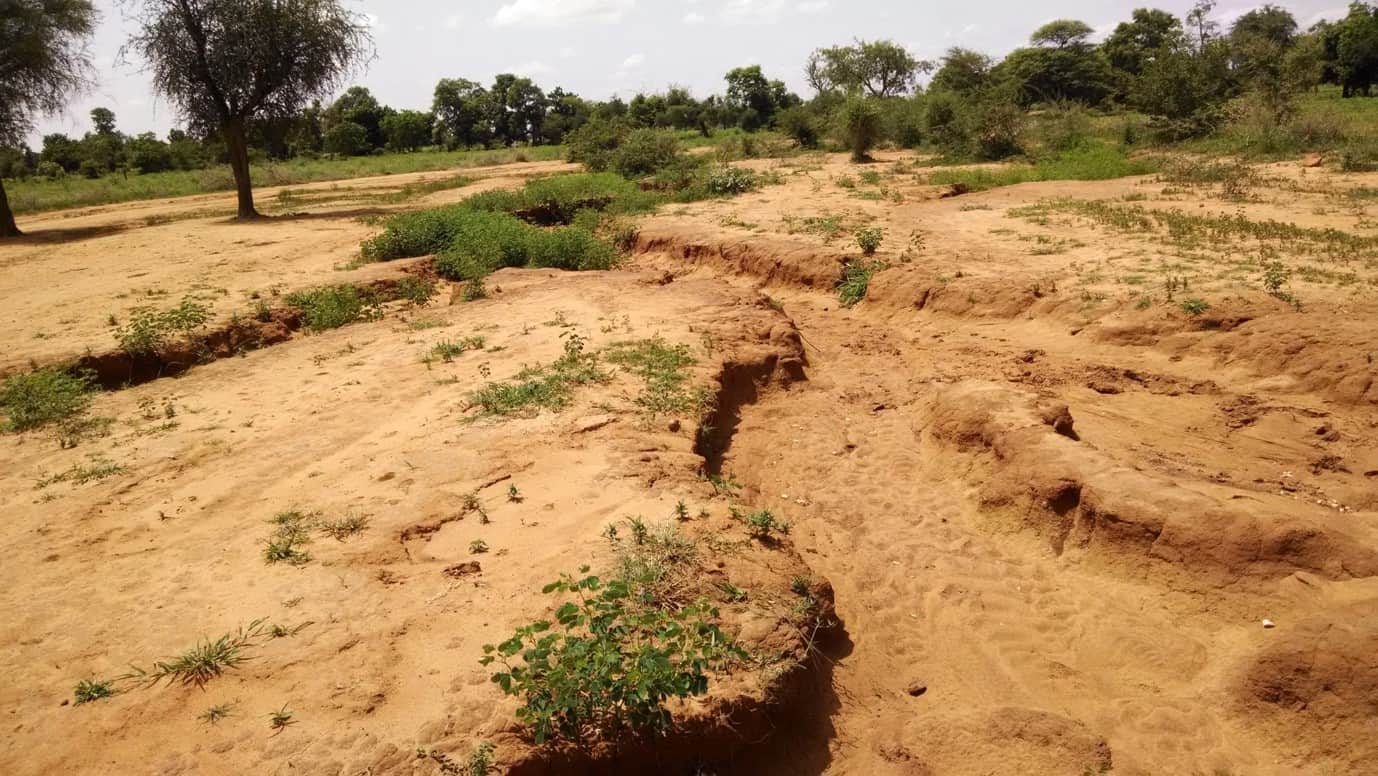 3 Places Where Restoring Degraded Land Can Reduce Erosion - Resource Watch